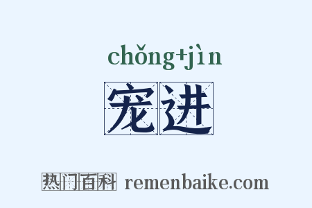 宠进是什么意思的图片